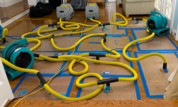 Professional Basement Flood Cleanup technician working in Holden, ME